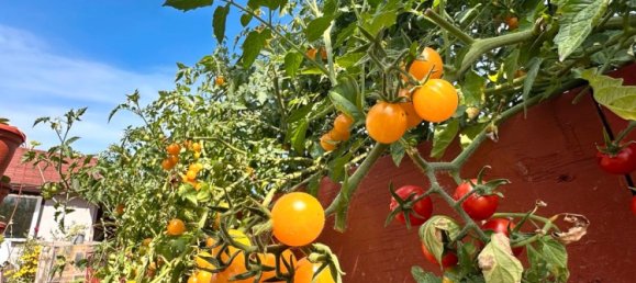  Land in Leipzig, Germany No. 289679 16