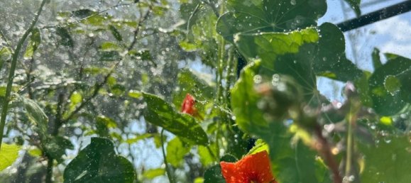  Land in Leipzig, Germany No. 289679 14