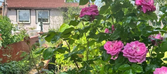  Land in Leipzig, Germany No. 289679 15