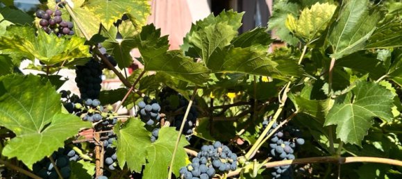  Land in Leipzig, Germany No. 289679 20