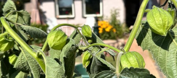  Land in Leipzig, Germany No. 289679 18