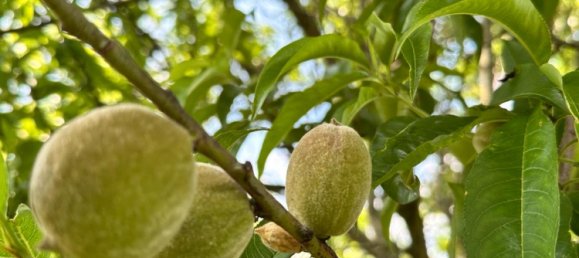  Land in Leipzig, Germany No. 289679 3