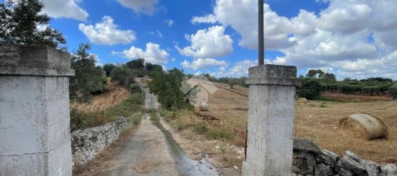 Дом с 3 спальнями в Чистернино, Италия № 322158 39