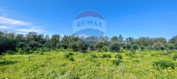 65543m² Land in Terrasini, Italy No. 273477 9