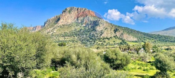 65543m² Land in Terrasini, Italy No. 273477 14