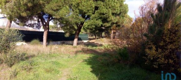 805m² Land in Almancil, Portugal No. 107440 4