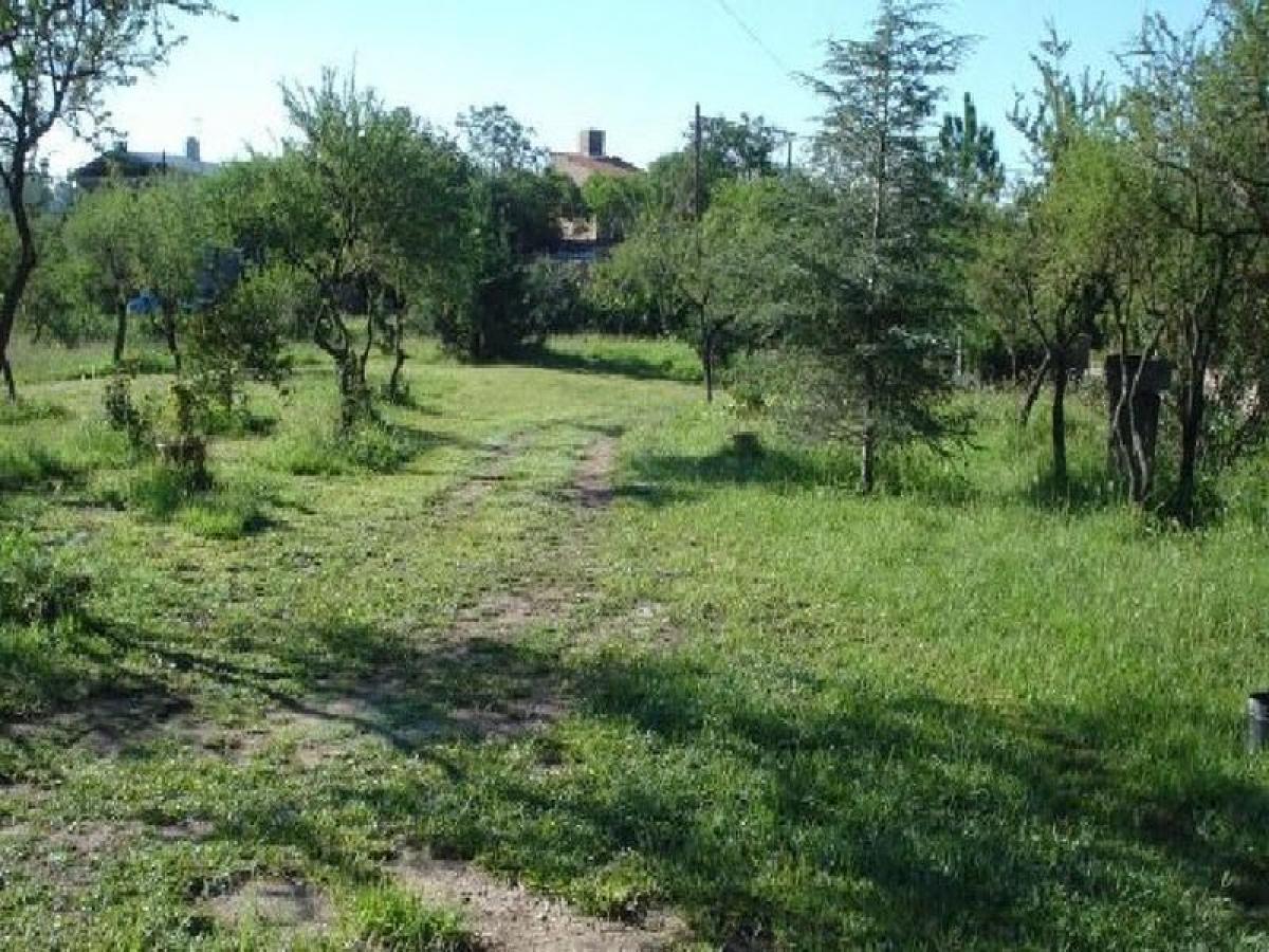  Land in Cordoba, Argentina No. 50359