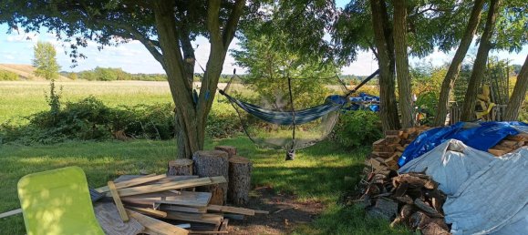 4 bedrooms House in Frankfurt an der Oder, Germany No. 271352 7