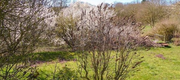 4-Zimmer Haus in Brandenburg, Germany, Nr. 13851 7