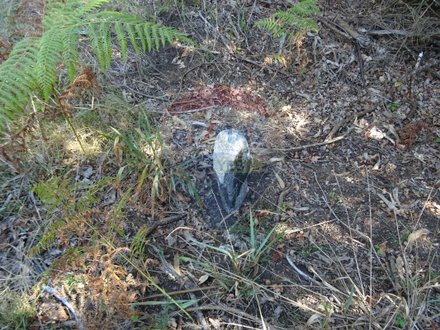 3556m² Land in Vila Verde, Portugal No. 35432