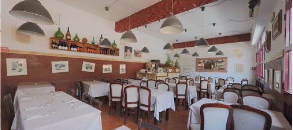 6 rooms Commercial property in Rome, Italy No. 279164 4