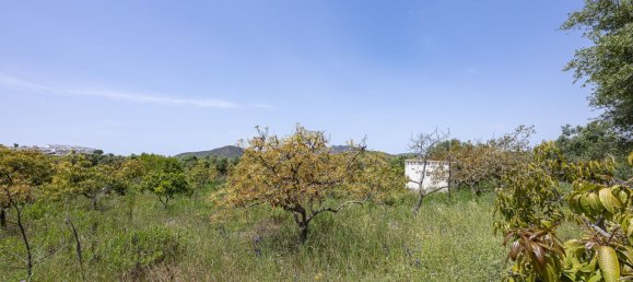 79m² Land in Mijas, Spain No. 147586 32