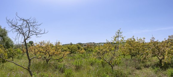 79m² Land in Mijas, Spain No. 147586 29