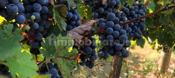 2 bedrooms House in Cortona, Italy No. 56228 21