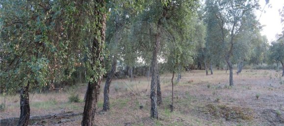 1 bedroom House in Sao Miguel de Acha, Portugal No. 69912 21