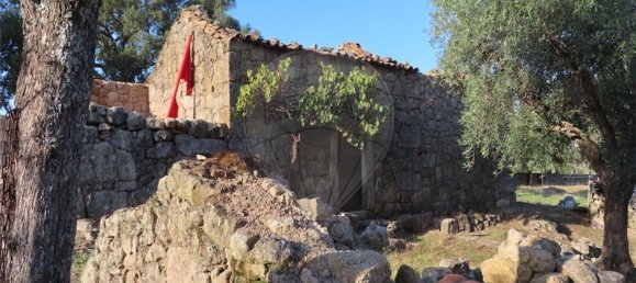 1 bedroom House in Sao Miguel de Acha, Portugal No. 69912 7