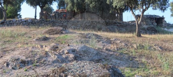 1 bedroom House in Sao Miguel de Acha, Portugal No. 69912 11