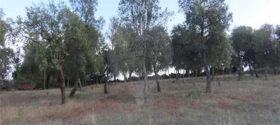 1 bedroom House in Sao Miguel de Acha, Portugal No. 69912 18