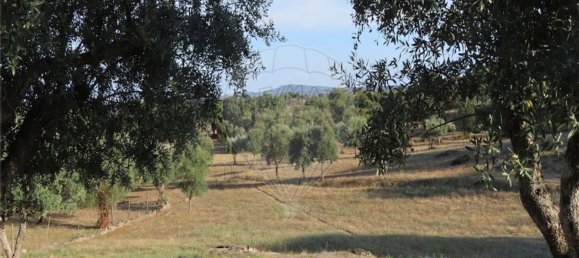 1 bedroom House in Sao Miguel de Acha, Portugal No. 69912 8