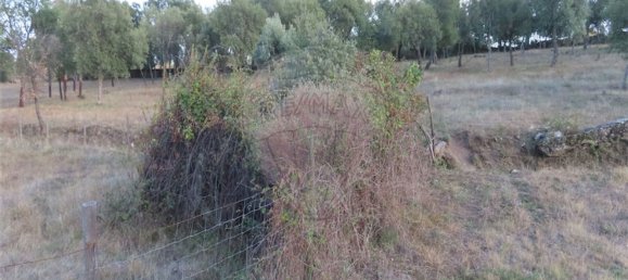 1 bedroom House in Sao Miguel de Acha, Portugal No. 69912 14