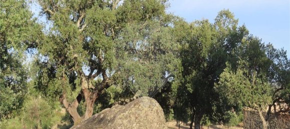 1 bedroom House in Sao Miguel de Acha, Portugal No. 69912 3