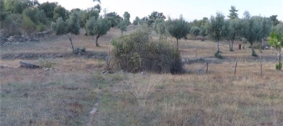 1 bedroom House in Sao Miguel de Acha, Portugal No. 69912 19