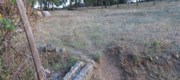 1 bedroom House in Sao Miguel de Acha, Portugal No. 69912 16