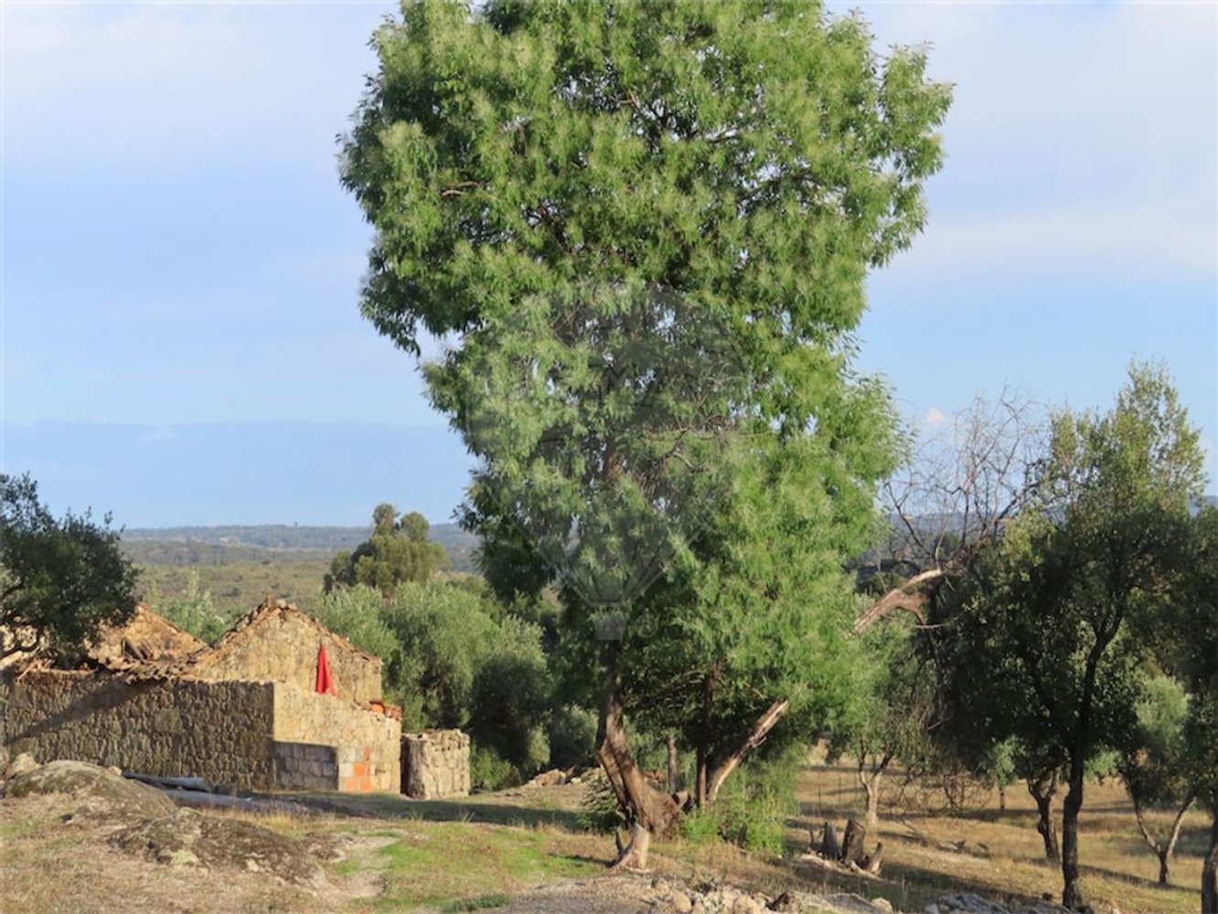 1 bedroom House in Sao Miguel de Acha, Portugal No. 69912