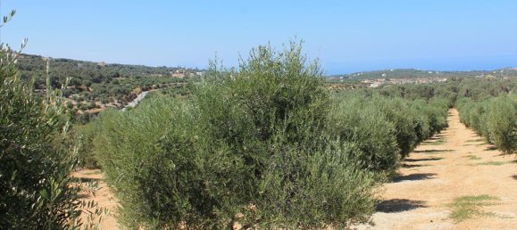 10500m² Hotel in Rethymno, Greece No. 7588 3