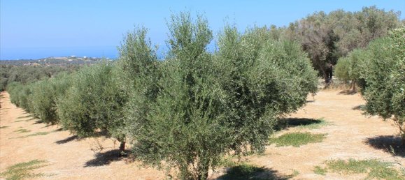 10500m² Hotel in Rethymno, Greece No. 7588 2