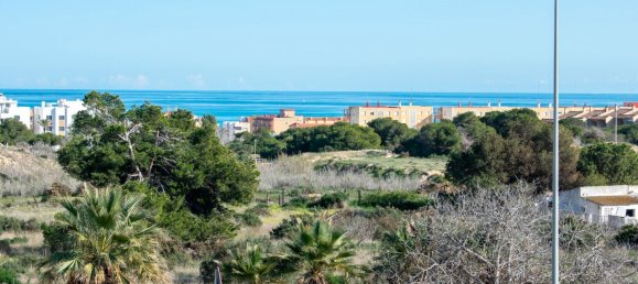 Moradia em banda T3 em Guardamar del Segura, Spain N.º 31016 25