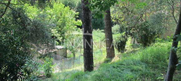 6-Zimmer Villa in Fauglia, Italy, Nr. 224585 11