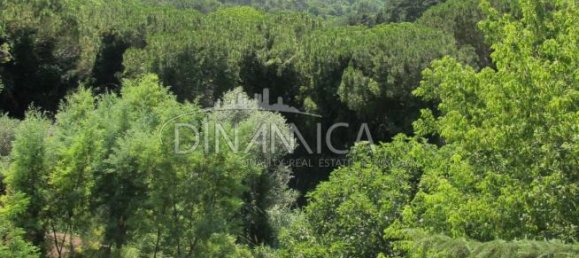 6-Zimmer Villa in Fauglia, Italy, Nr. 224585 38
