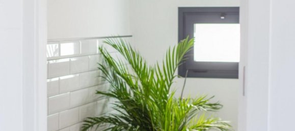 3 bedrooms Villa in Los Montesinos, Spain No. 12764 21