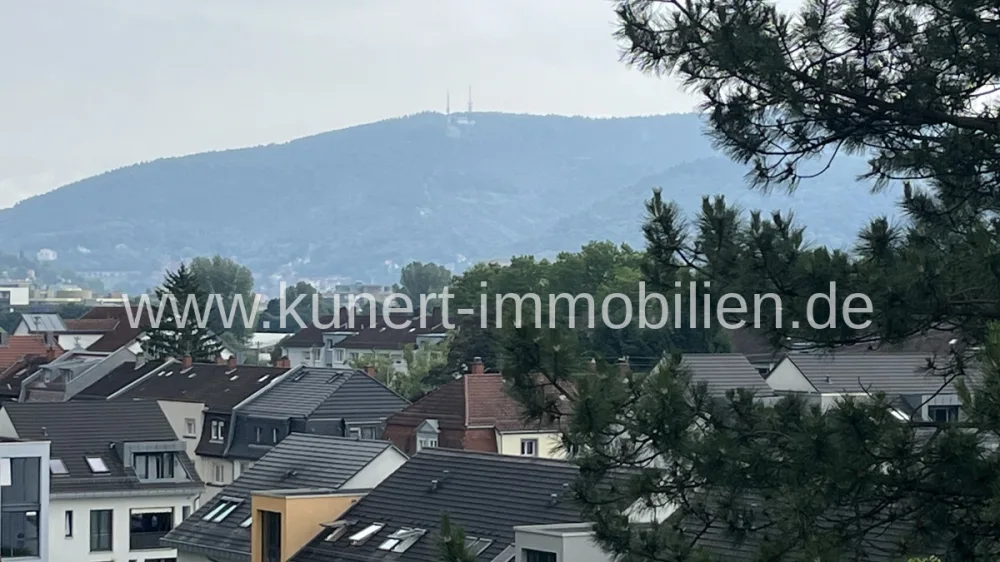 2 bedrooms Apartment in Heidelberg, Germany No. 323738