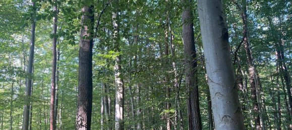 8-salle Villa à Gablitz, Austria No. 238846 3