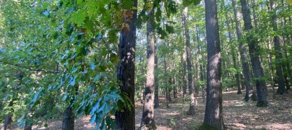 8-salle Villa à Gablitz, Austria No. 238846 2