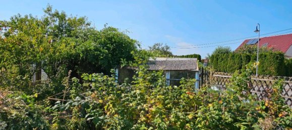 2 Schlafzimmer Bauernhof in Nordhausen, Germany, Nr. 312170 6