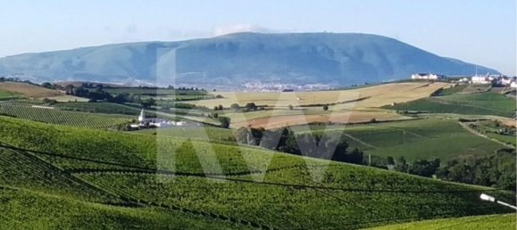 3 chambres Maison à Alenquer, Portugal No. 74902 21