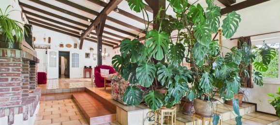 4 Schlafzimmer Haus in Gänserndorf, Austria, Nr. 132448 13