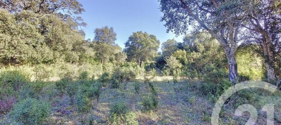 Земельный участок 12588м² в Фигари, Франция № 89212 9