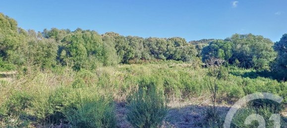 Земельный участок 12588м² в Фигари, Франция № 89212 5