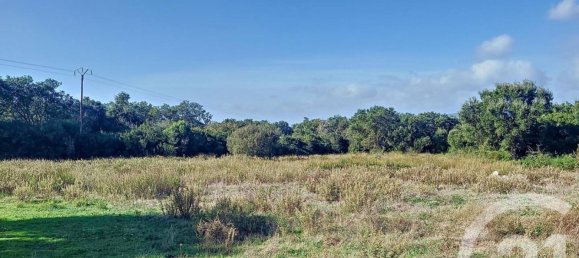 Земельный участок 12588м² в Фигари, Франция № 89212 4