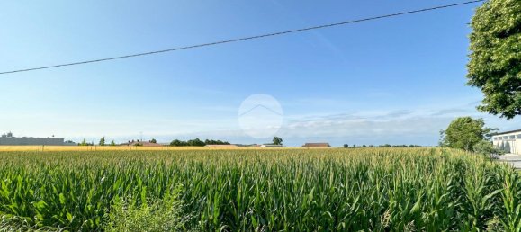 10544m² Land in Solferino, Italy No. 146537 15