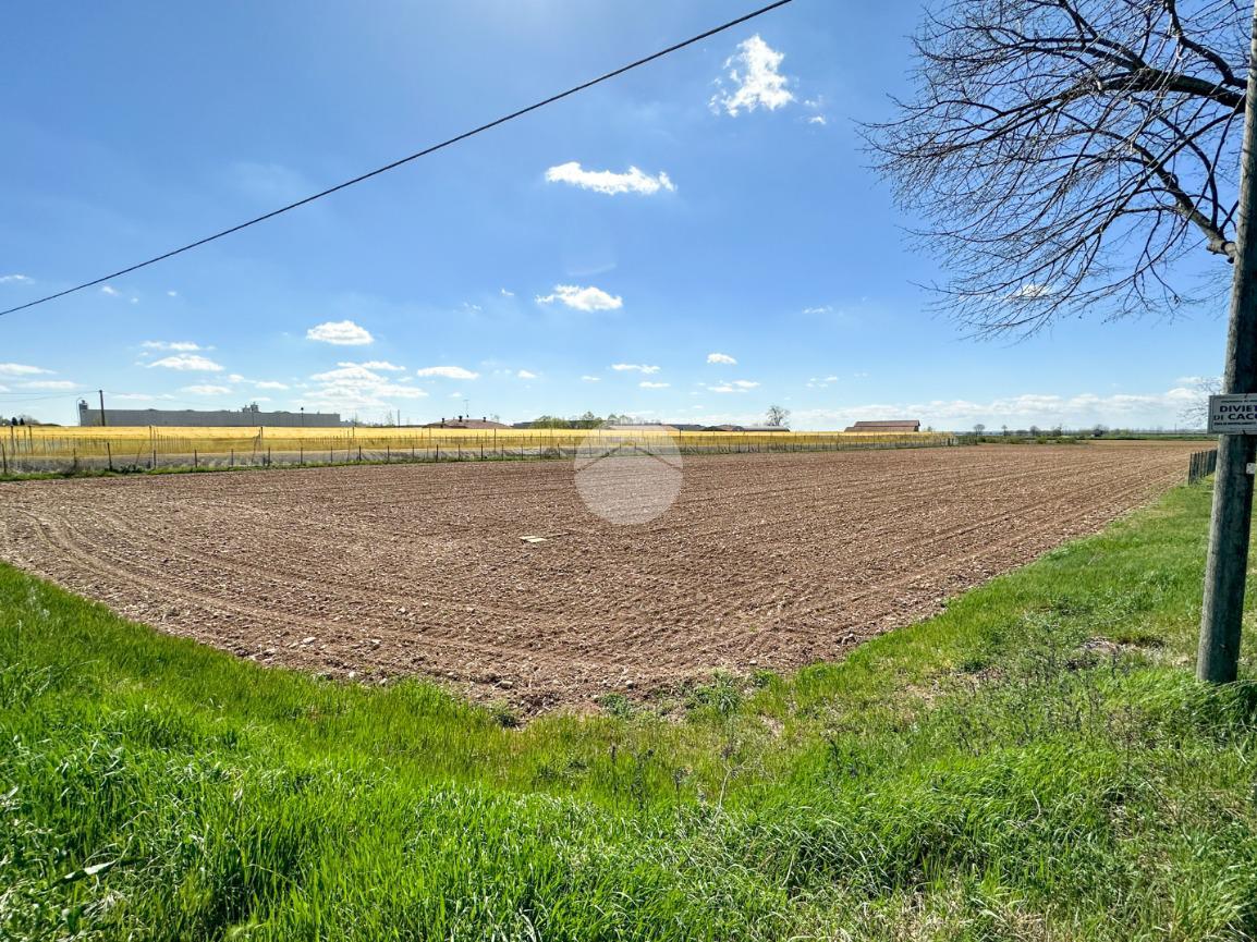 10544m² Land in Solferino, Italy No. 146537