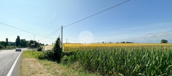 10544m² Land in Solferino, Italy No. 146537 10