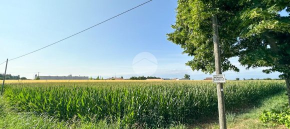 10544m² Land in Solferino, Italy No. 146537 13