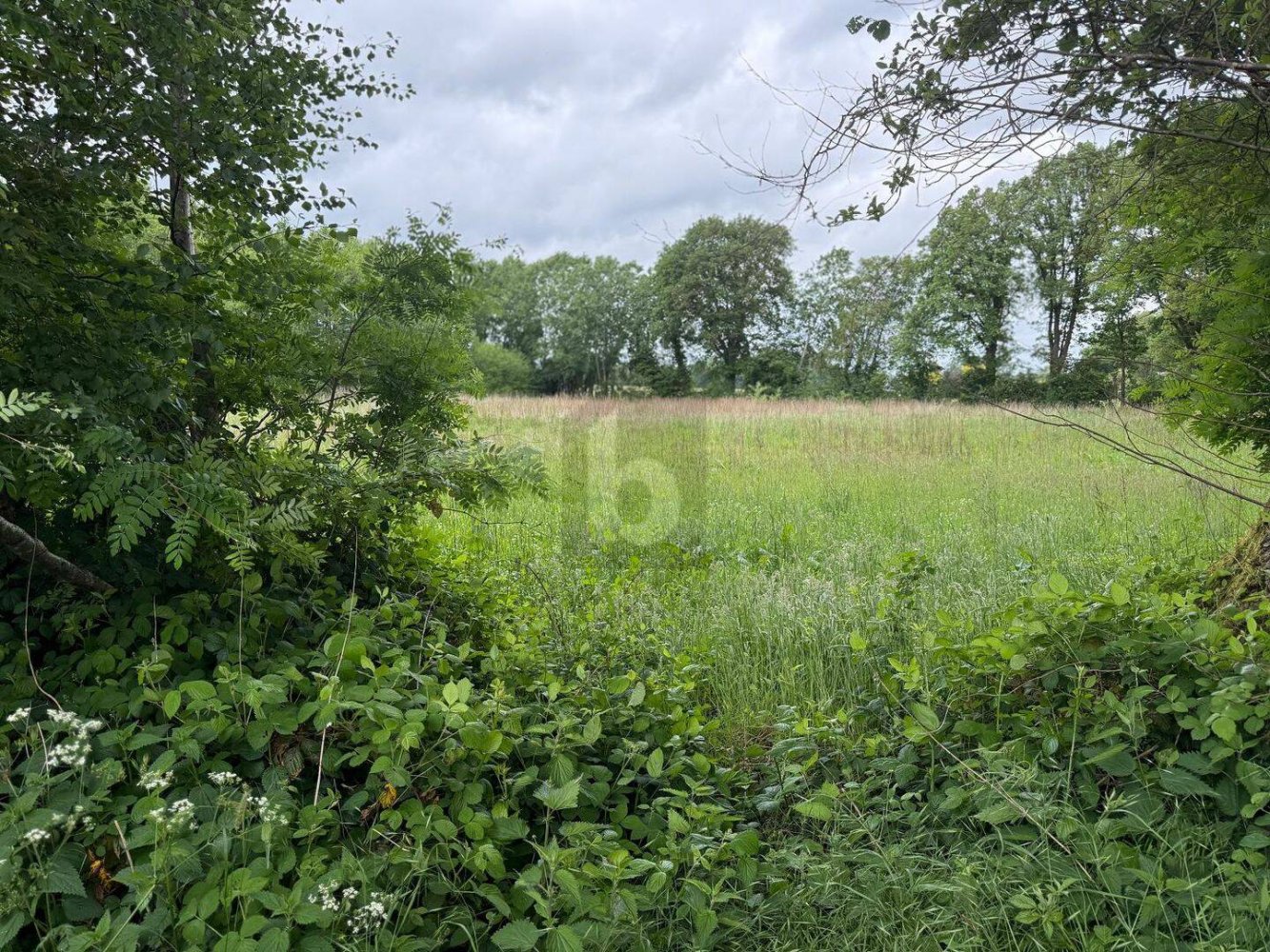  قطعة أرض في Pinneberg, Germany رقم 274073