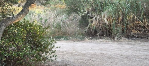 2 rooms House in Palau, Italy No. 264930 5