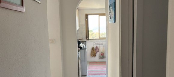 2 rooms House in Palau, Italy No. 264930 9